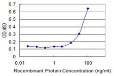 CRHBP Antibody - Detection limit for recombinant GST tagged CRHBP is 3 ng/ml as a capture antibody.