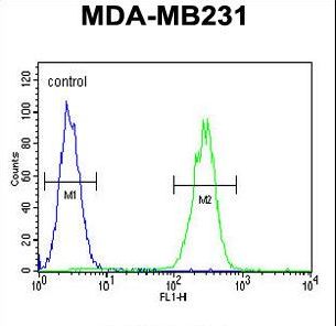 CRHR2 / CRF2 Receptor Antibody - CRHR2 Antibody flow cytometry of MDA-MB231 cells (right histogram) compared to a negative control cell (left histogram). FITC-conjugated goat-anti-rabbit secondary antibodies were used for the analysis.