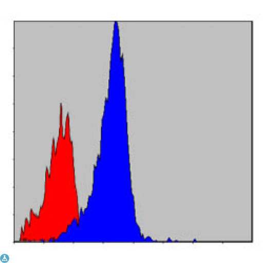 CRKL Antibody - Flow cytometric (FCM) analysis of NIH/3T3 cells using Crk-L Monoclonal Antibody (blue) and negative control (red).