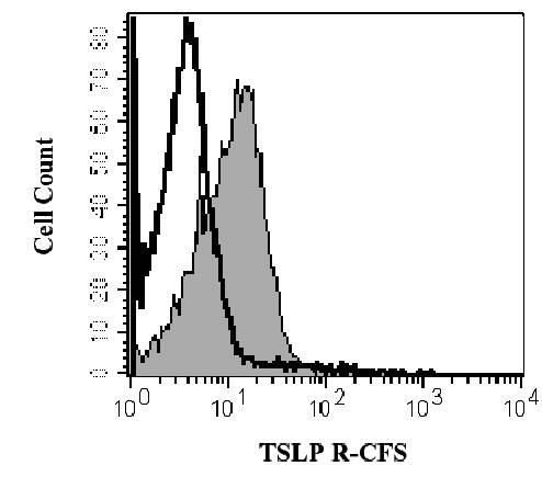 CRLF2 / TSLPR Antibody - Staining of mouse splenocytes using Thymic Stromal Lymphopoietin Protein Receptor (TSLP R) (Carboxyfluorescein) (CFS) (filled histogram) or isotype control (open histogram). This image was taken for the unconjugated form of this product. Other forms have not been tested.