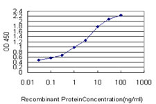 CRTAP Antibody - Detection limit for recombinant GST tagged CRTAP is approximately 0.03 ng/ml as a capture antibody.