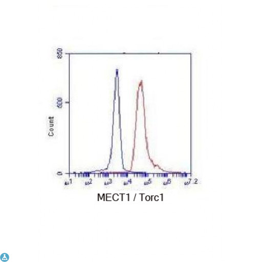 CRTC1 / MECT1 / TORC1 Antibody - Flow Cytometry analysis of K562 cells stained with TORC1 (N-term) (red, 1:100 dilution), followed by FITC-conjugated goat anti-mouse IgG. Blue line histogram represents the isotype control, normal mouse IgG.