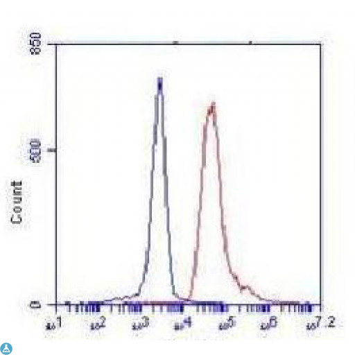 CRTC1 / MECT1 / TORC1 Antibody - Flow cytometric (FCM) analysis of K562 cells stained with TORC1 Monoclonal Antibody (red), followed by FITC-conjugated goat anti- Mouse IgG. Blue line histogram represents the isotype control, normal Mouse IgG.