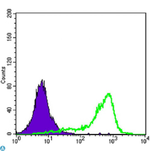 CRTC1 / MECT1 / TORC1 Antibody - Flow cytometric (FCM) analysis of K562 cells using TORC1 Monoclonal Antibody (green) and negative control (purple).