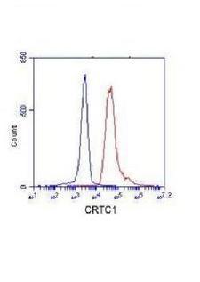 CRTC1 / MECT1 / TORC1 Antibody - Flow Cytometry analysis of K562 cells stained with TORC1(N-terminus) (red, 1/100 dilution), followed by FITC-conjugated goat anti-mouse IgG. Blue line histogram represents the isotype control, normal mouse IgG.