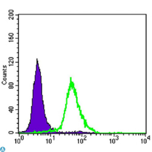 CRTC2 / TORC2 Antibody - Flow cytometric (FCM) analysis of HeLa cells using TORC2 Monoclonal Antibody (green) and negative control (purple).