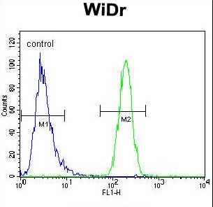 CRTR1 / TFCP2L1 Antibody - TFCP2L1 Antibody flow cytometry of WiDr cells (right histogram) compared to a negative control cell (left histogram). FITC-conjugated goat-anti-rabbit secondary antibodies were used for the analysis.