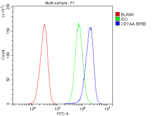 CRYAA / Alpha A Crystallin Antibody - Flow Cytometry analysis of HepG2 cells using anti-CRYAA antibody. Overlay histogram showing HepG2 cells stained with anti-CRYAA antibody (Blue line). The cells were blocked with 10% normal goat serum. And then incubated with rabbit anti-CRYAA Antibody (1µg/10E6 cells) for 30 min at 20°C. DyLight®488 conjugated goat anti-rabbit IgG (5-10µg/10E6 cells) was used as secondary antibody for 30 minutes at 20°C. Isotype control antibody (Green line) was rabbit IgG (1µg/10E6 cells) used under the same conditions. Unlabelled sample (Red line) was also used as a control.