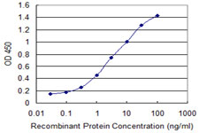 CRYGC / CCL Antibody - Detection limit for recombinant GST tagged CRYGC is 0.03 ng/ml as a capture antibody.