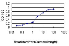 CSDC2 Antibody - Detection limit for recombinant GST tagged CSDC2 is approximately 0.1 ng/ml as a capture antibody.