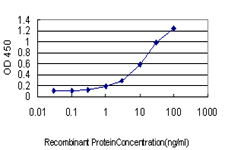 CSE1L Antibody - Detection limit for recombinant GST tagged CSE1L is approximately 0.3 ng/ml as a capture antibody.