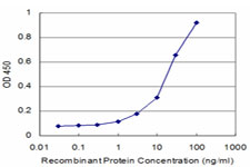 CSF1 / MCSF Antibody - Detection limit for recombinant GST tagged CSF1 is approximately 3 ng/ml as a capture antibody.