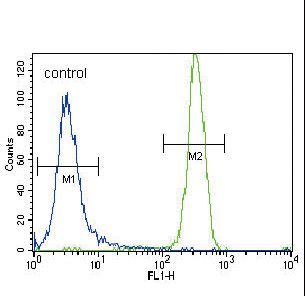 CSF1R / CD115 / FMS Antibody - MCSF Receptor (CSF1R) Antibody flow cytometry of NCI-H460 cells (right histogram) compared to a negative control cell (left histogram). FITC-conjugated goat-anti-rabbit secondary antibodies were used for the analysis.