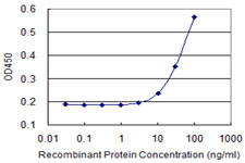 CSF2RA / CD116 Antibody - Detection limit for recombinant GST tagged CSF2RA is 3 ng/ml as a capture antibody.