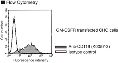 CSF2RA / CD116 Antibody