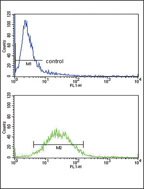 CSF3R / CD114 Antibody - CSF3R Antibody FC of ZR-75-1 cells (bottom histogram) compared to a negative control cell (top histogram). FITC-conjugated goat-anti-rabbit secondary antibodies were used for the analysis.