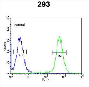 CSGALNACT2 Antibody - CSGALNACT2 Antibody flow cytometry of 293 cells (right histogram) compared to a negative control cell (left histogram). FITC-conjugated goat-anti-rabbit secondary antibodies were used for the analysis.