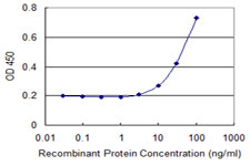 CSNK1G2 / CKI-Gamma 2 Antibody - Detection limit for recombinant GST tagged CSNK1G2 is 3 ng/ml as a capture antibody.