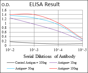 CSPG4 / NG2 Antibody - Red: Control Antigen (100ng); Purple: Antigen (10ng); Green: Antigen (50ng); Blue: Antigen (100ng);