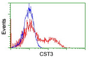 CST3 / Cystatin C Antibody - HEK293T cells transfected with either overexpress plasmid (Red) or empty vector control plasmid (Blue) were immunostained by anti-CST3 antibody, and then analyzed by flow cytometry.