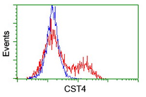 CST4 / Cystatin S Antibody - HEK293T cells transfected with either overexpress plasmid (Red) or empty vector control plasmid (Blue) were immunostained by anti-CST4 antibody, and then analyzed by flow cytometry.