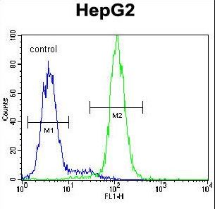 CST9 Antibody - CST9 Antibody flow cytometry of HepG2 cells (right histogram) compared to a negative control cell (left histogram). FITC-conjugated goat-anti-rabbit secondary antibodies were used for the analysis.
