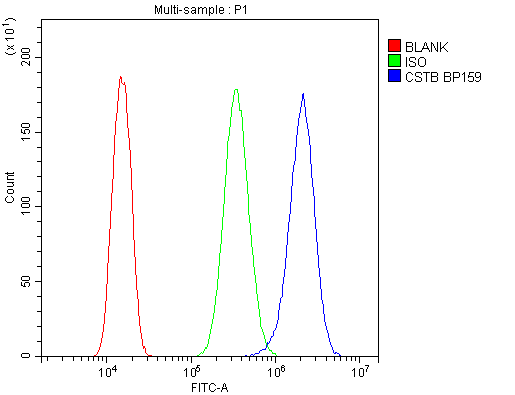 CSTB / Cystatin B / Stefin B Antibody - Flow Cytometry analysis of U20S cells using anti-Stefin B antibody. Overlay histogram showing U20S cells stained with Stefin B (Blue line). The cells were blocked with 10% normal goat serum. And then incubated with rabbit anti-Stefin B Antibody (Stefin B,1µg/10E6 cells) for 30 min at 20°C. DyLight®488 conjugated goat anti-rabbit IgG (5-10µg/10E6 cells) was used as secondary antibody for 30 minutes at 20°C. Isotype control antibody (Green line) was rabbit IgG (1µg/10E6 cells) used under the same conditions. Unlabelled sample (Red line) was also used as a control.