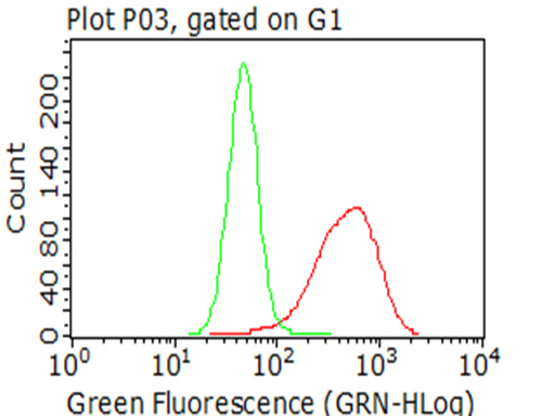 CTAG1B / NY-ESO-1 Antibody - Flow cytometric analysis of living NCI-H1299 cells, using anti-CTAG1B antibody Red), compared to an isotype control. (green). (1:100)