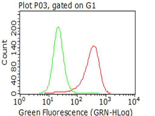 CTAG1B / NY-ESO-1 Antibody - Flow cytometric analysis of living A375 cells, using anti-CTAG1B antibody Red), compared to an isotype control. (green). (1:100)