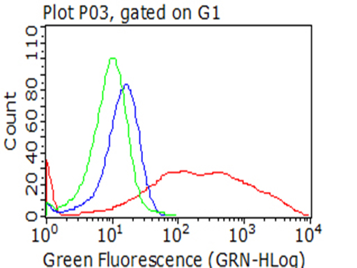 CTAG1B / NY-ESO-1 Antibody - Flow cytometric analysis of living 293T cells transfected with CTAG1B overexpression plasmid , Red)/empty vector  Blue) using anti-CTAG1B antibody. Cells incubated with a non-specific antibody. (Green) were used as isotype control. (1: 100)