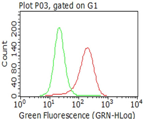 CTAG1B / NY-ESO-1 Antibody - Flow cytometric analysis of living A375 cells, using anti-CTAG1B antibody Red), compared to an isotype control. (green). (1:100)
