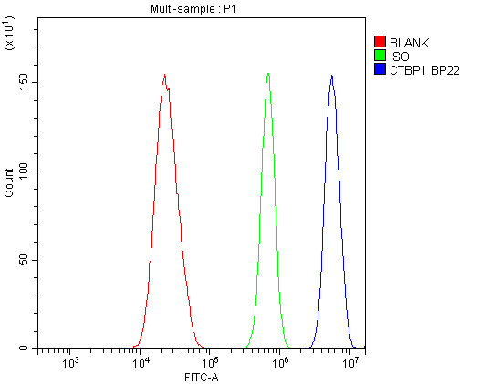 CTBP1 / CTBP Antibody - Flow Cytometry analysis of U20S cells using anti-CTBP1 antibody. Overlay histogram showing U20S cells stained with anti-CTBP1 antibody (Blue line). The cells were blocked with 10% normal goat serum. And then incubated with rabbit anti-CTBP1 Antibody (1µg/10E6 cells) for 30 min at 20°C. DyLight®488 conjugated goat anti-rabbit IgG (5-10µg/10E6 cells) was used as secondary antibody for 30 minutes at 20°C. Isotype control antibody (Green line) was rabbit IgG (1µg/10E6 cells) used under the same conditions. Unlabelled sample (Red line) was also used as a control.