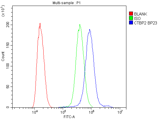 CTBP2 Antibody - Flow Cytometry analysis of SiHa cells using anti-CTBP2 antibody. Overlay histogram showing SiHa cells stained with anti-CTBP2 antibody (Blue line). The cells were blocked with 10% normal goat serum. And then incubated with rabbit anti-CTBP2 Antibody (1µg/10E6 cells) for 30 min at 20°C. DyLight®488 conjugated goat anti-rabbit IgG (5-10µg/10E6 cells) was used as secondary antibody for 30 minutes at 20°C. Isotype control antibody (Green line) was rabbit IgG (1µg/10E6 cells) used under the same conditions. Unlabelled sample (Red line) was also used as a control.