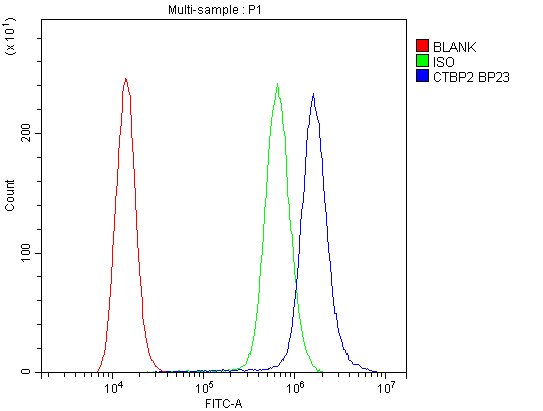 CTBP2 Antibody - Flow Cytometry analysis of A431 cells using anti-CTBP2 antibody. Overlay histogram showing A431 cells stained with anti-CTBP2 antibody (Blue line). The cells were blocked with 10% normal goat serum. And then incubated with rabbit anti-CTBP2 Antibody (1µg/10E6 cells) for 30 min at 20°C. DyLight®488 conjugated goat anti-rabbit IgG (5-10µg/10E6 cells) was used as secondary antibody for 30 minutes at 20°C. Isotype control antibody (Green line) was rabbit IgG (1µg/10E6 cells) used under the same conditions. Unlabelled sample (Red line) was also used as a control.
