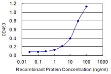 CTBS / CTB Antibody - Detection limit for recombinant GST tagged CTBS is 0.3 ng/ml as a capture antibody.