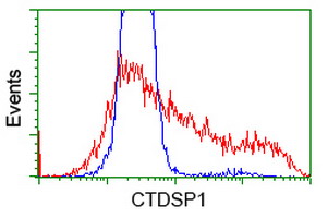 CTDSP1 / SCP1 Antibody - HEK293T cells transfected with either overexpress plasmid (Red) or empty vector control plasmid (Blue) were immunostained by anti-CTDSP1 antibody, and then analyzed by flow cytometry.