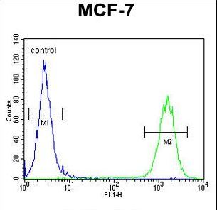CTDSPL2 Antibody - CTDSPL2 Antibody flow cytometry of MCF-7 cells (right histogram) compared to a negative control cell (left histogram). FITC-conjugated goat-anti-rabbit secondary antibodies were used for the analysis.
