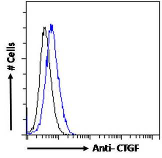 CTGF Antibody - Flow cytometric analysis of paraformaldehyde fixed HepG2 cells (blue line), permeabilized with 0.5% Triton. Primary incubation 1hr (10ug/ml) followed by Alexa Fluor 488 secondary antibody (1ug/ml). IgG control: Unimmunized goat IgG (black line) followed by Alexa Fluor 488 secondary antibody.