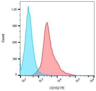 CTLA4 / CD152 Antibody - Surface staining of PHA-activated (3 days) human PBMC with anti-human CD152 (BNI3) PE.