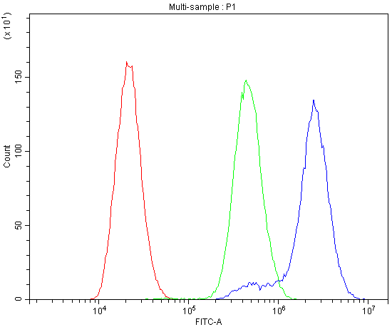 CTNNA1 / Catenin Alpha-1 Antibody - Flow Cytometry analysis of U-87 cells using anti-CTNNA1 antibody. Overlay histogram showing U-87 cells stained with anti-CTNNA1 antibody (Blue line). The cells were blocked with 10% normal goat serum. And then incubated with rabbit anti-CTNNA1 Antibody (1µg/10E6 cells) for 30 min at 20°C. DyLight®488 conjugated goat anti-rabbit IgG (5-10µg/10E6 cells) was used as secondary antibody for 30 minutes at 20°C. Isotype control antibody (Green line) was rabbit IgG (1µg/10E6 cells) used under the same conditions. Unlabelled sample (Red line) was also used as a control.
