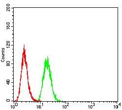 CTNNB1 / Beta Catenin Antibody - Flow cytometric analysis of Hela cells using CTNNB1 mouse mAb (green) and negative control (red).
