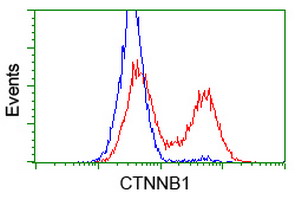 CTNNB1 / Beta Catenin Antibody - HEK293T cells transfected with either overexpress plasmid (Red) or empty vector control plasmid (Blue) were immunostained by anti-CTNNB1 antibody, and then analyzed by flow cytometry.