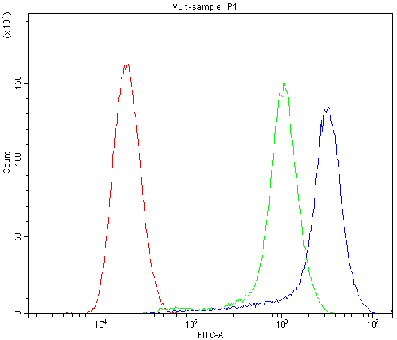 CTSD / Cathepsin D Antibody - Flow Cytometry analysis of SiHa cells using anti-CTSD antibody. Overlay histogram showing SiHa cells stained with anti-CTSD antibody (Blue line). The cells were blocked with 10% normal goat serum. And then incubated with rabbit anti-CTSD Antibody (1µg/10E6 cells) for 30 min at 20°C. DyLight®488 conjugated goat anti-rabbit IgG (5-10µg/10E6 cells) was used as secondary antibody for 30 minutes at 20°C. Isotype control antibody (Green line) was rabbit IgG (1µg/10E6 cells) used under the same conditions. Unlabelled sample (Red line) was also used as a control.