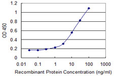 CTTN / Cortactin Antibody - Detection limit for recombinant GST tagged CTTN is 0.3 ng/ml as a capture antibody.