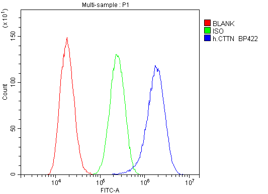 CTTN / Cortactin Antibody - Flow Cytometry analysis of A549 cells using anti-cortactin antibody. Overlay histogram showing A549 cells stained with anti-cortactin antibody (Blue line). The cells were blocked with 10% normal goat serum. And then incubated with rabbit anti-cortactin Antibody (1µg/1x106 cells) for 30 min at 20°C. DyLight®488 conjugated goat anti-rabbit IgG (5-10µg/1x106 cells) was used as secondary antibody for 30 minutes at 20°C. Isotype control antibody (Green line) was rabbit IgG (1µg/1x106) used under the same conditions. Unlabelled sample (Red line) was also used as a control.