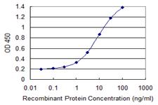 Cullin 4A / CUL4A Antibody - Detection limit for recombinant GST tagged CUL4A is 0.1 ng/ml as a capture antibody.