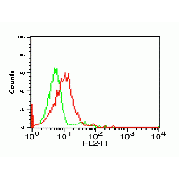 CX3CR1 Antibody - Flow cytometry analysis of THP-1 cells using CX3CR1 antibody at 0.1 µg/ml. Green: Isotype control. Red : CX3CR1 antibody.