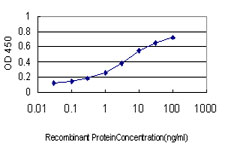 CXCL7 / PPBP Antibody - Detection limit for recombinant GST tagged PPBP is approximately 0.03 ng/ml as a capture antibody.
