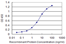 CXCL9 / MIG Antibody - Detection limit for recombinant GST tagged CXCL9 is 0.03 ng/ml as a capture antibody.