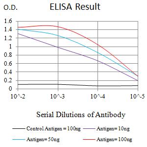 CXCR1 Antibody - Black line: Control Antigen (100 ng);Purple line: Antigen (10ng); Blue line: Antigen (50 ng); Red line:Antigen (100 ng)